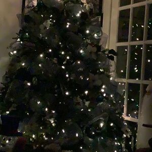 Meet your Posher, Gus